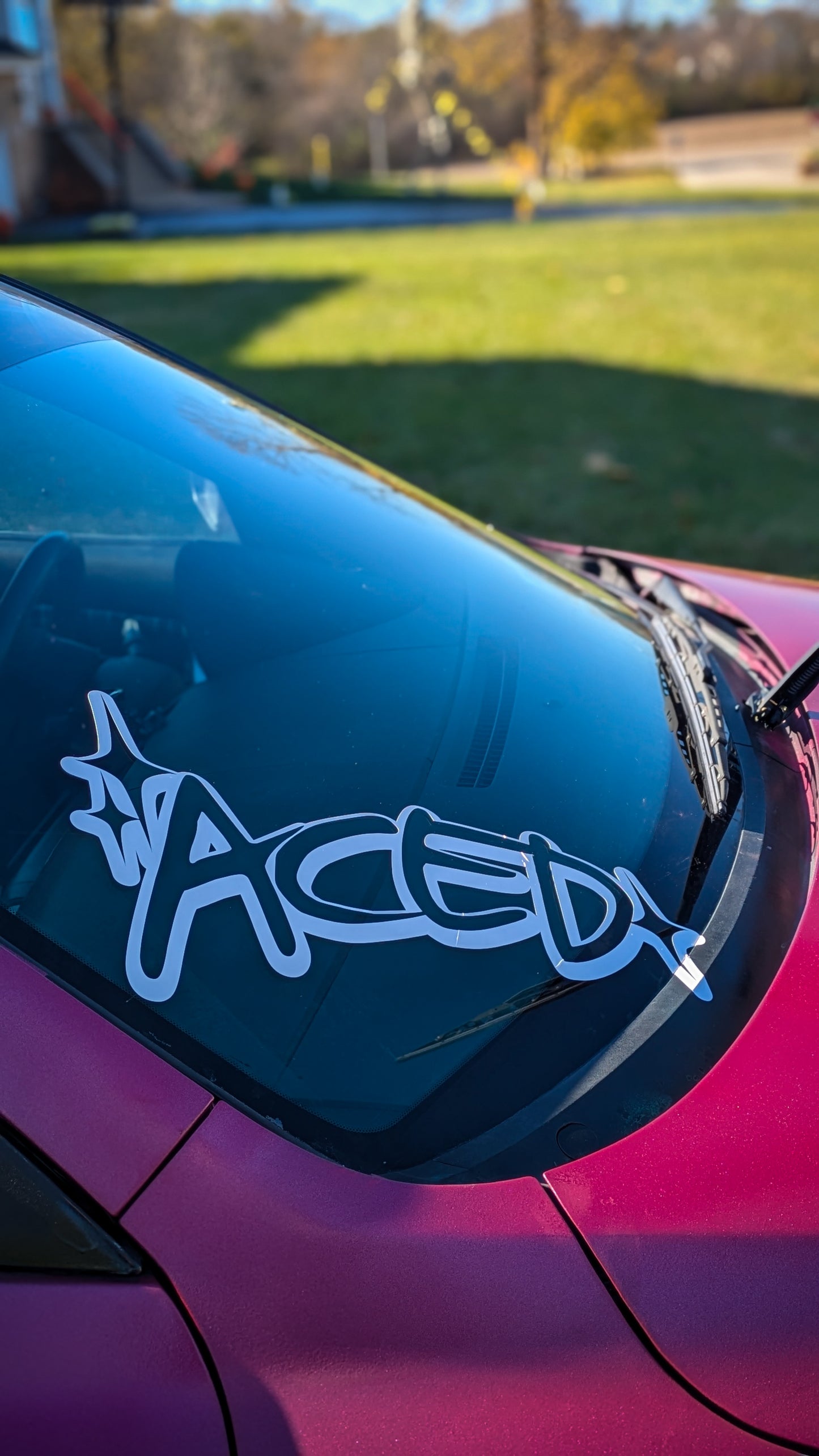V1 ACED Corner banner